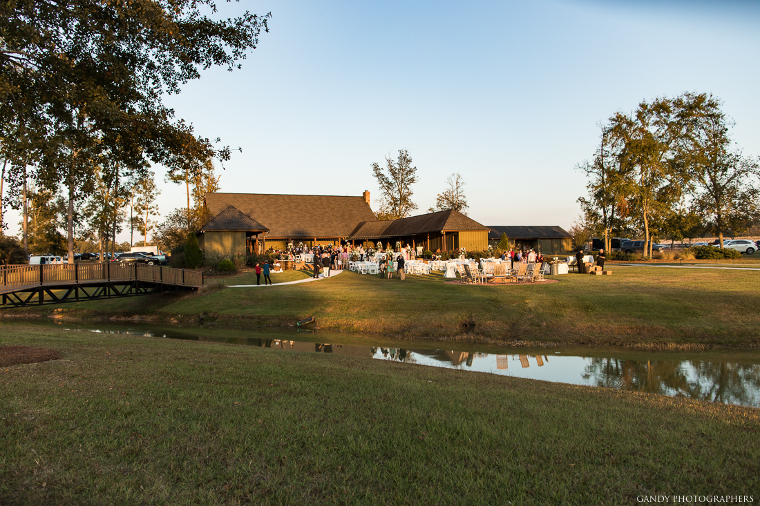 Sundown Farms Plantation image 11