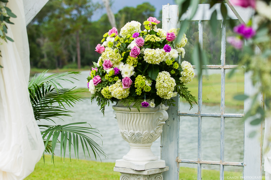 Sundown Farms Plantation image 13