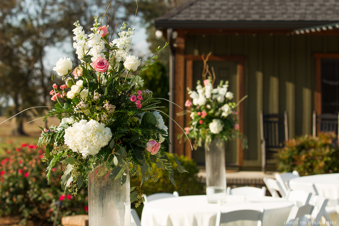 Sundown Farms Plantation image 15