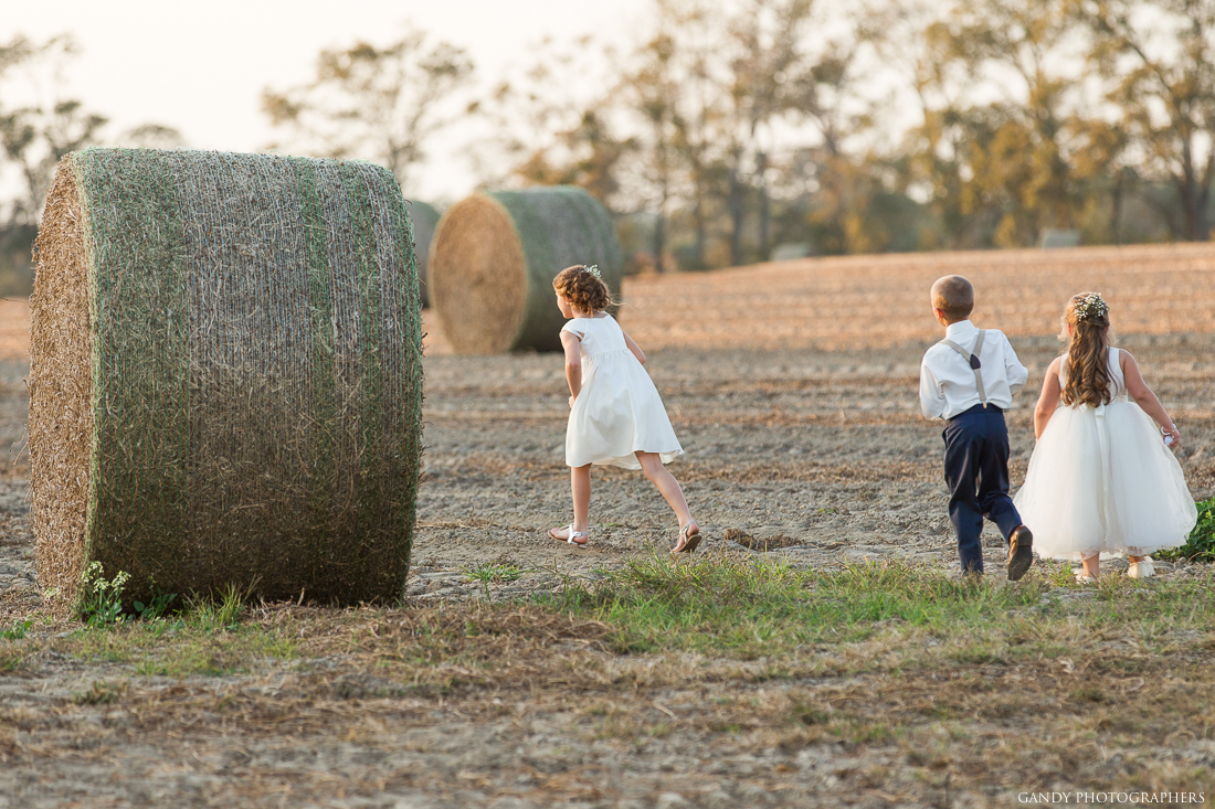 Sundown Farms Plantation image 4